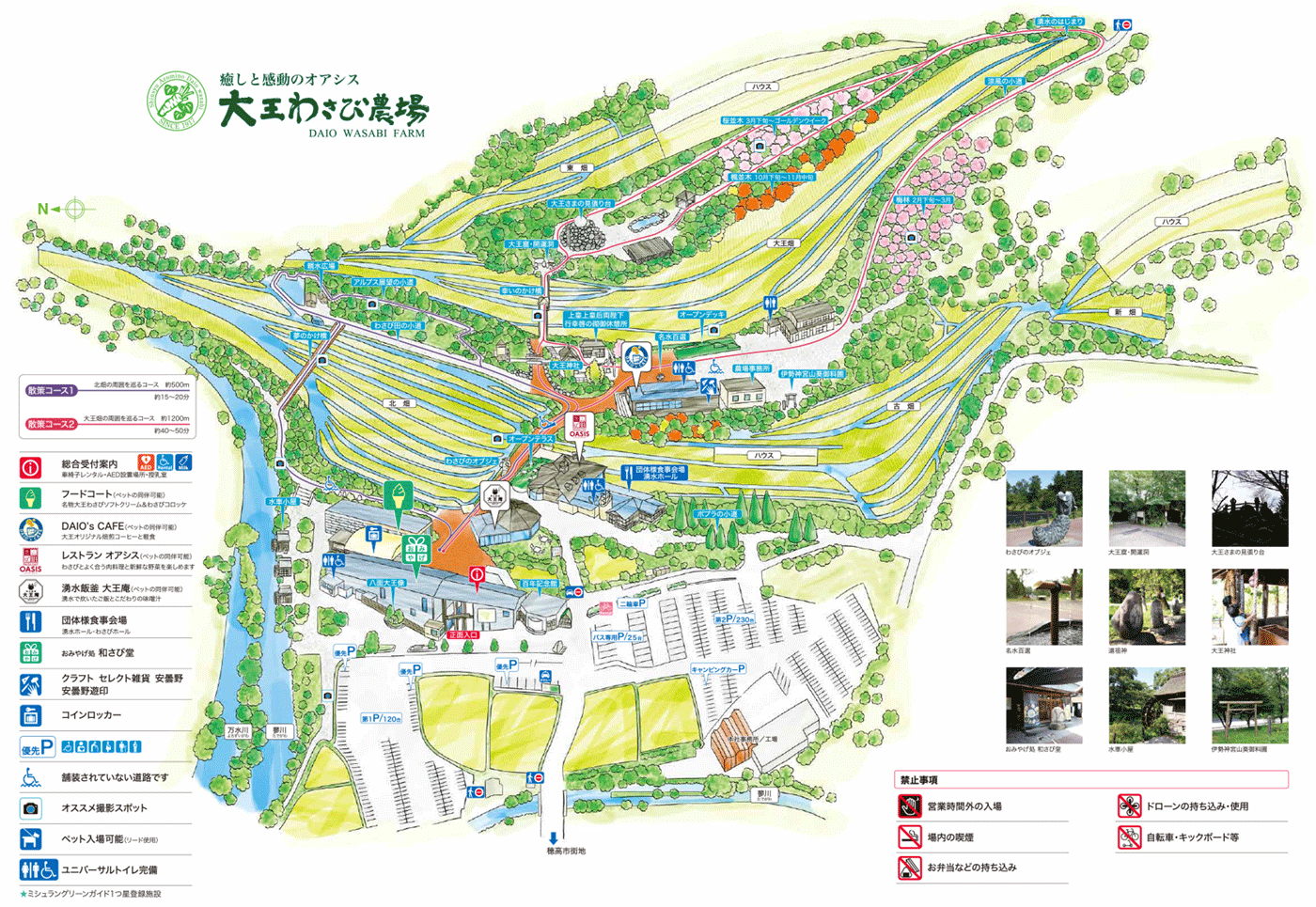 長野県安曇野市癒しと感動のオアシス「大王わさび農場」